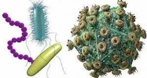 Bacteriile super-rezistente la antibiotice ucid anual zeci de mii de oameni
