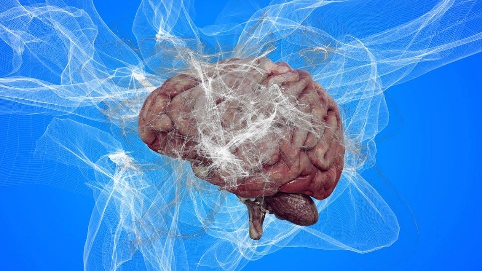 „Al doilea creier": Cum bacteriile din intestin îți modelează starea de spirit, anxietatea și chiar deciziile