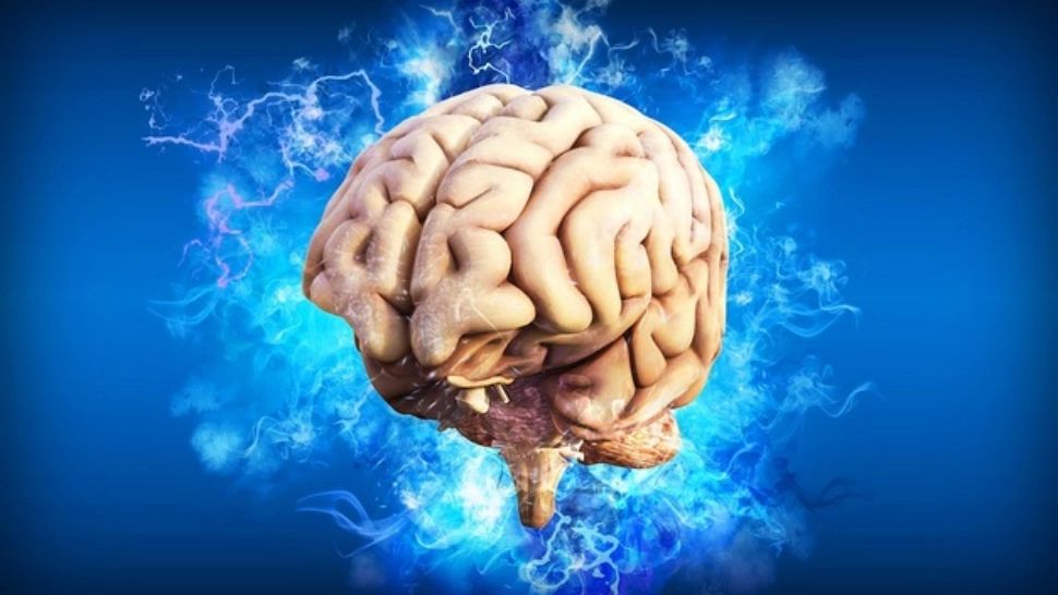O celebră neurocercetătoare explică modul în care percepem realitatea: „Nu vedem lucrurile așa cum sunt, ci așa cum suntem noi”