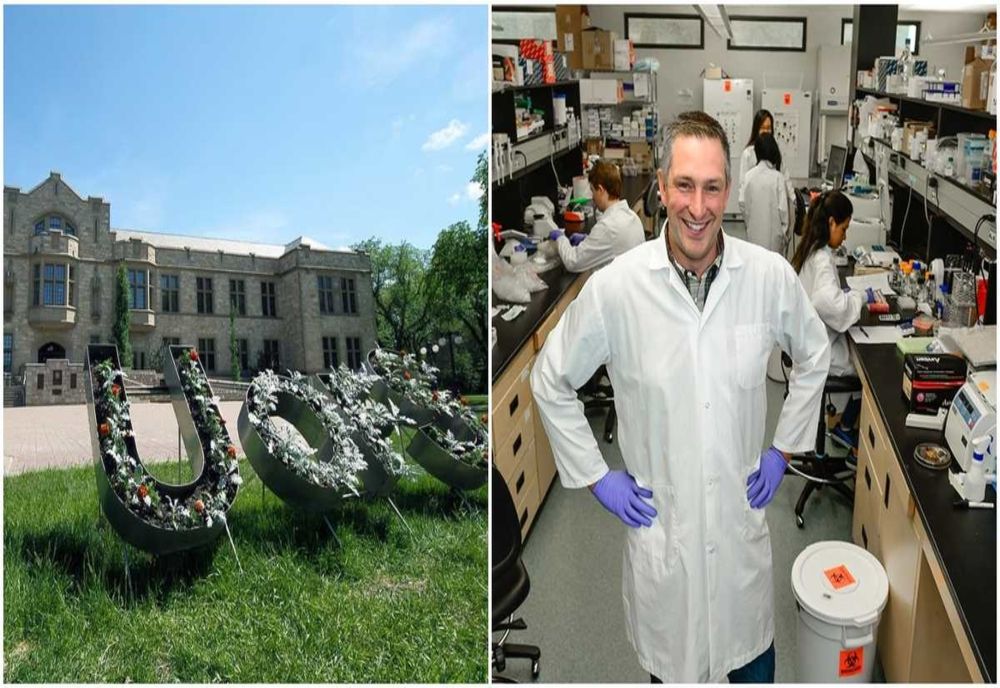 Primul vaccin contra coronavirusului în stadiul de testare