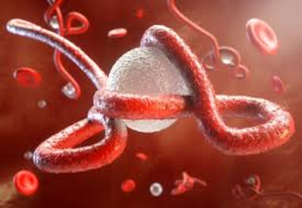 Epidemia de Ebola a fost declarată încheiată în centrul Africii