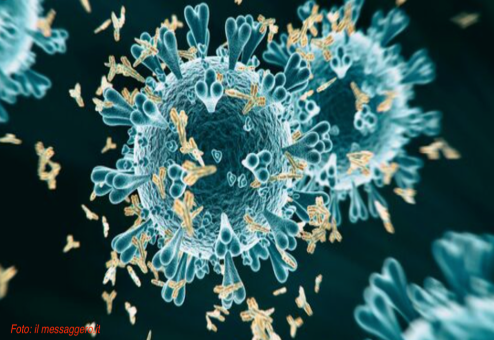 Anticorpii anti-Covid - CE sunt, CUM apar și CÂT timp rămân în organism