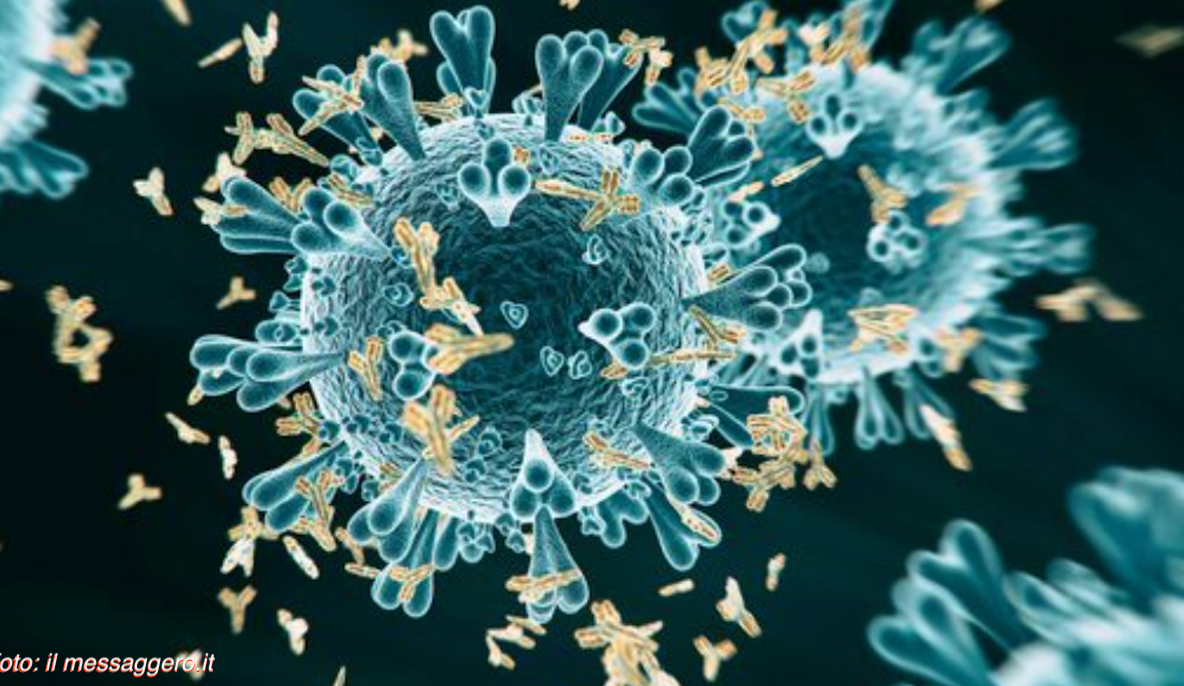 Tratamentul cu anticorpi monoclonali pentru COVID-19 reduce cu 85% spitalizările și decesele în rândul pacienților din grupele de risc