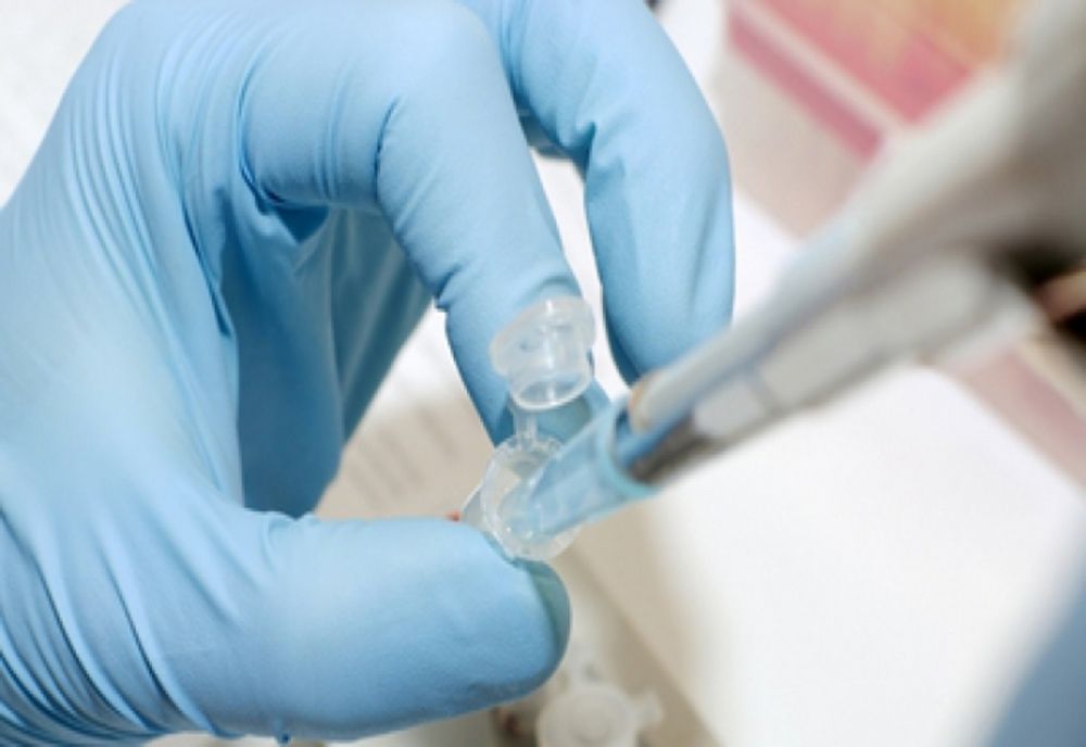 Prima tulpină rezistentă la antibiotice a ciumei care se poate transmite de la om la om