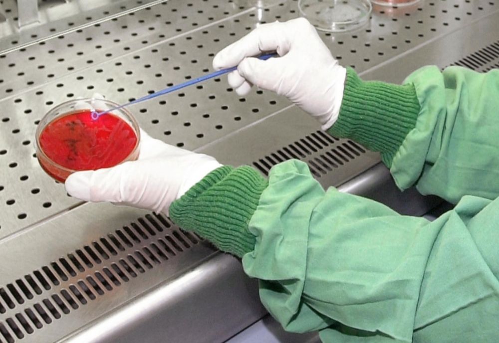 ALERTĂ SANITARĂ în România. Bărbat suspect de ANTRAX, internat în spital. De unde a luat virusul