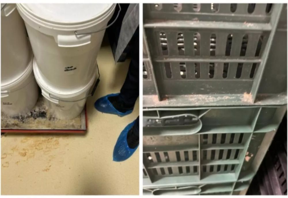 CONTROALE LA FURNIZORUL DE ALIMENTE AL SPITALULUI CLINIC FUNDENI. CE NEREGULI AU FOST GĂSITE DE INSPECTORII ANPC