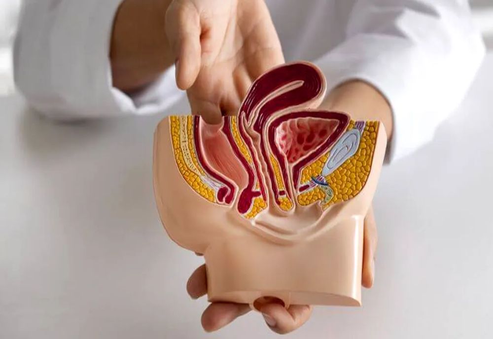 DIAGNOSTIC DE CANCER DE PROSTATĂ ÎNTR-O SINGURĂ ZI, CU AJUTORUL INTELIGENȚEI ARTIFICIALE