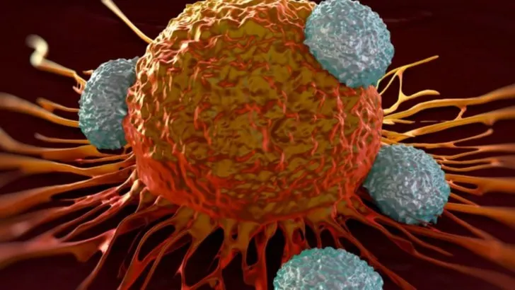 Agenția americană pentru medicamente aprobă un tratament inovator pentru cancerul pancreatic