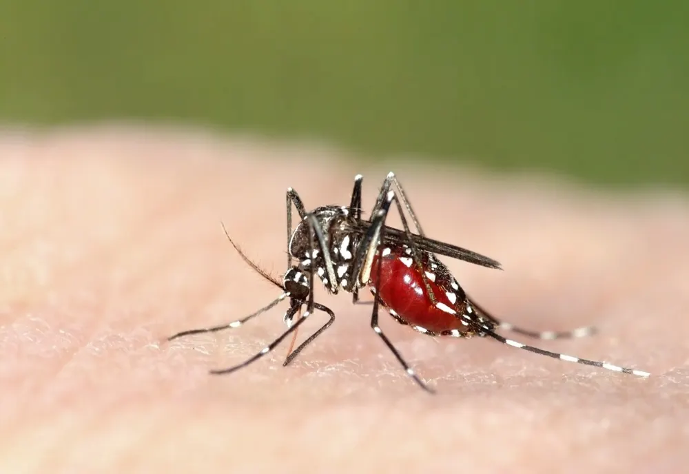 Alertă de sănătate publică: INSP confirmă 46 de cazuri de infecție cu virusul West Nile în România