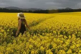 Recomandarea unui chirurg pentru protejarea organismului în zilele caniculare 