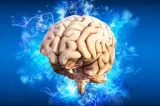 O celebră neurocercetătoare explică modul în care percepem realitatea: „Nu vedem lucrurile așa cum sunt, ci așa cum suntem noi”