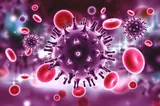 Parazitul ascuns în carne care poate afecta grav vederea. Cercetătorii avertizează că infectează una din trei persoane