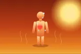 Ce se întâmplă, de fapt, în corpul tău când afară sunt 38 de grade