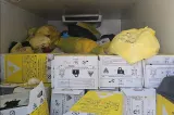 Garda de Mediu a amendat cu 30.000 de lei un transport necorespunzător de deșeuri medicale periculoase în București