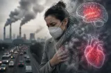 Poluarea aerului: dușmanul invizibil al inimii și creierului