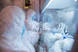 OMS cere Rusiei detalii despre moartea unei cercetătoare din Siberia