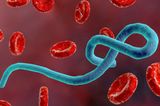 OMS: Peste 900 de cazuri suspecte de Ebola în RD Congo. 101 au fost confirmate