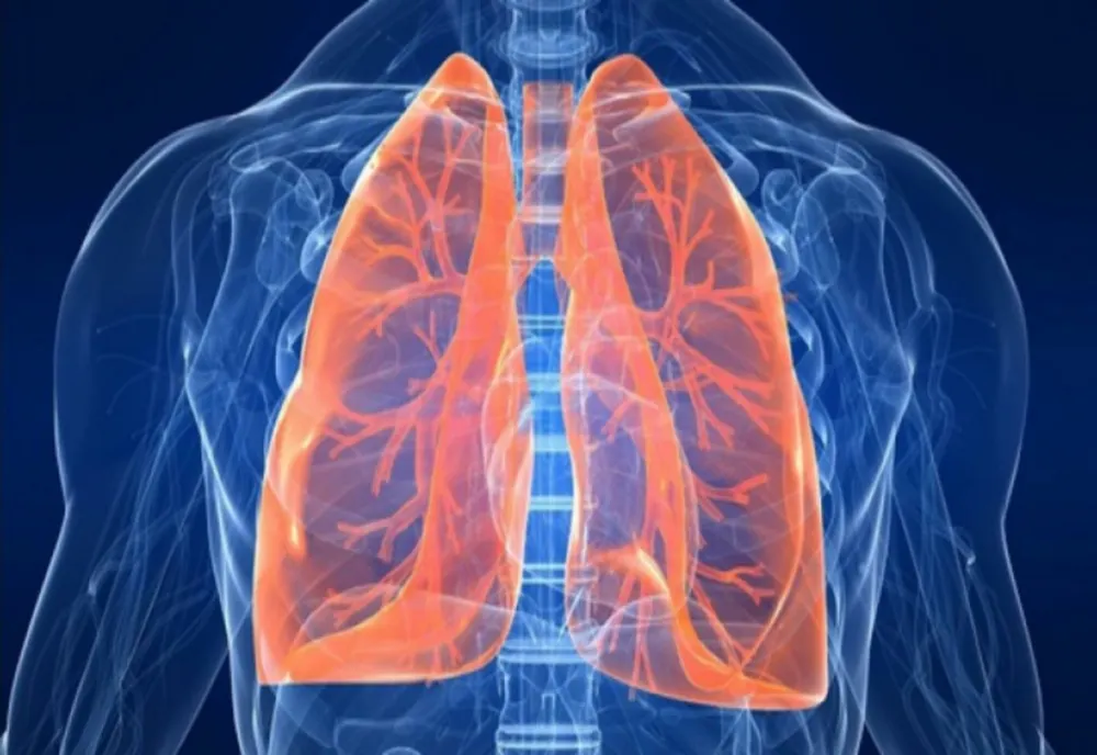Primul centru de transplant multiorgan în România. Managerul spitalului: „Avem nevoie de acest proiect de țară”