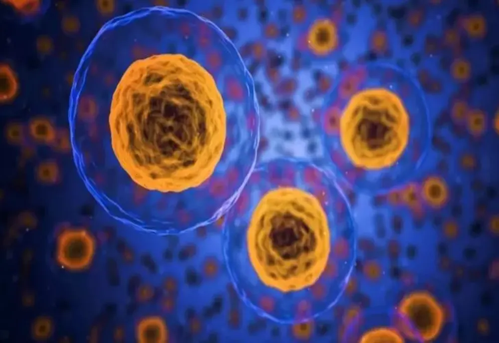 VACCINUL CU CELULE DENDRITICE: O NOUĂ STRATEGIE PROMIȚĂTOARE PENTRU TRATAMENTUL CANCERULUI DE SÂN