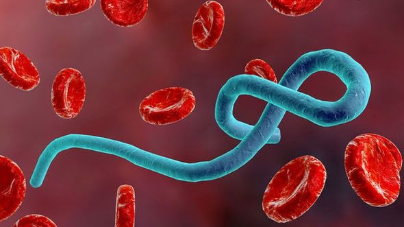 Cazuri de Ebola