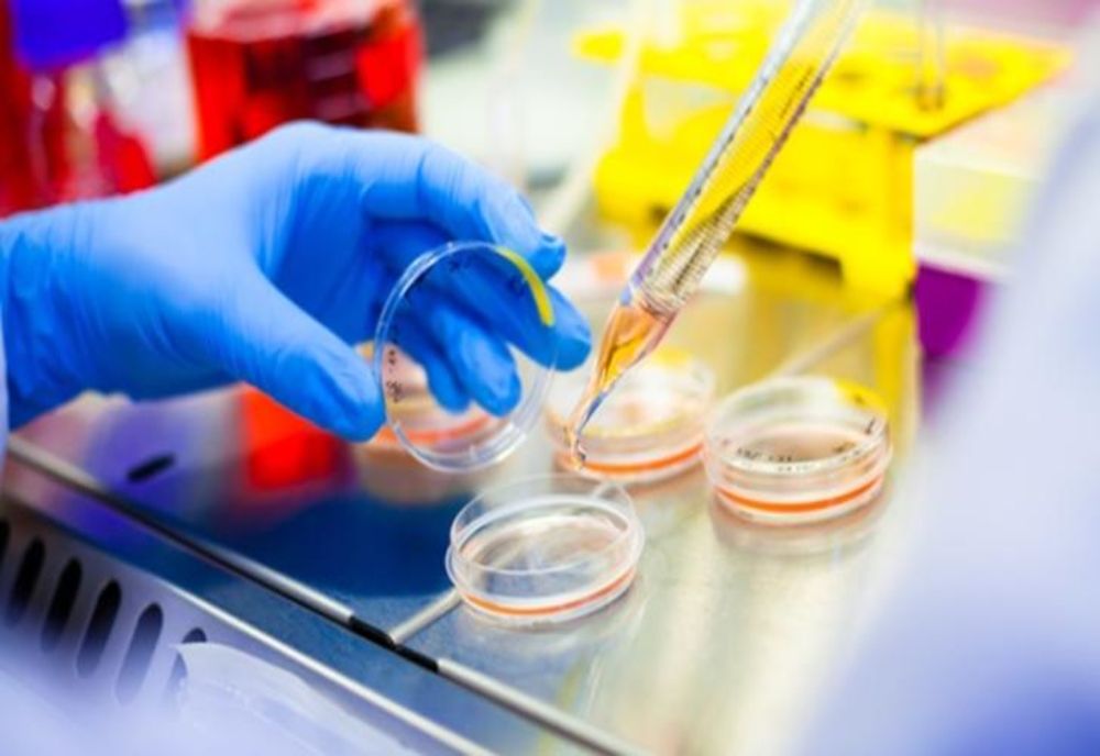 Românii care donează celule stem, scutiți de impozite timp de 10 ani