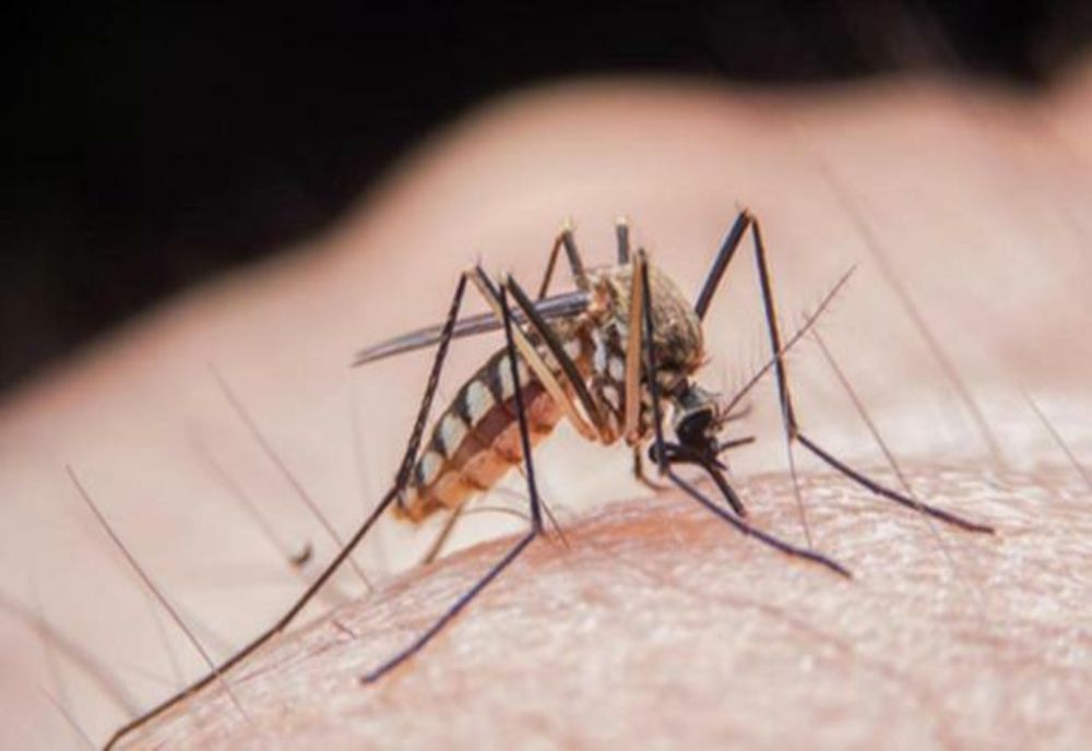 Virusul West Nile a mai făcut o victimă în România