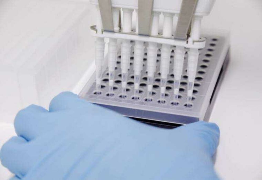 CÂT DE PERICULOASĂ ESTE VARIOLA MAIMUȚEI