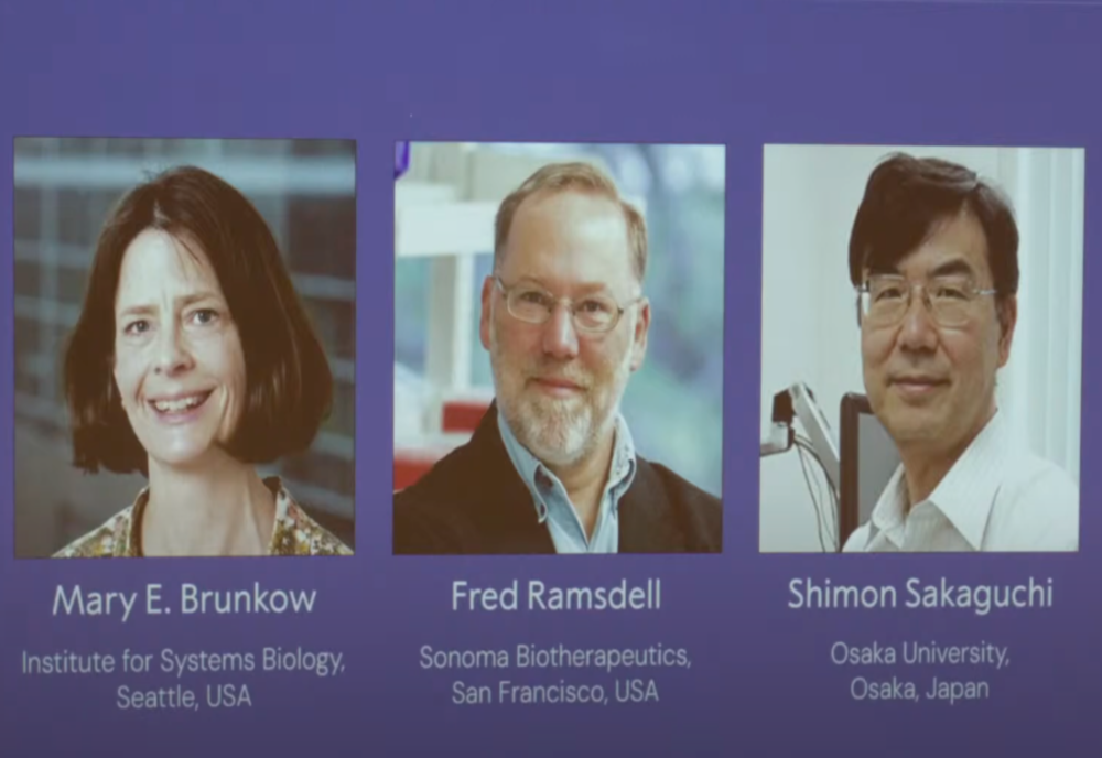 PREMIUL NOBEL PENTRU MEDICINĂ 2025, ACORDAT PENTRU DESCOPERIREA MECANISMELOR CARE CONTROLEAZĂ SISTEMUL IMUNITAR 