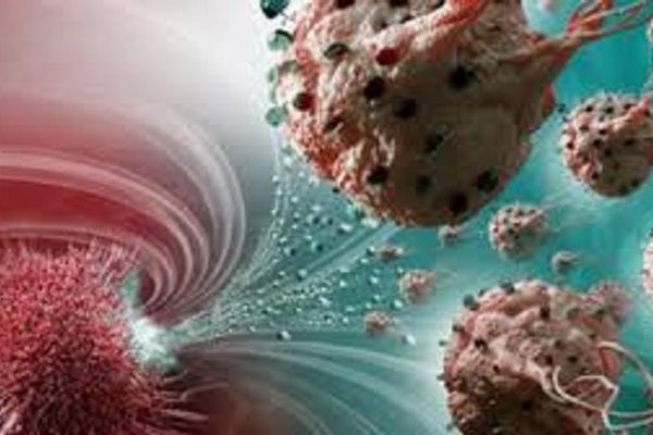 Alimentul banal care hrănește cancerul