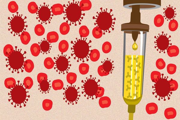 Începe recoltarea de plasmă de la pacienții vindecați de COVID-19 în România!