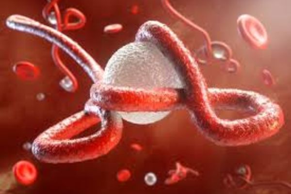 Epidemia de Ebola a fost declarată încheiată în centrul Africii