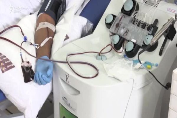 Apelul medicilor de la „Victor Babeș”: „Donați plasmă! Ajutați-ne să salvăm cât mai multe vieți”