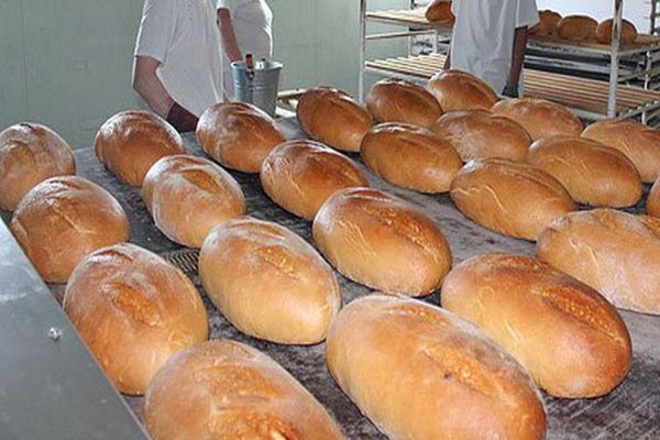 COVID-19 rezistă pe pâine până la trei ore