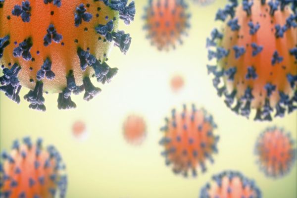 Noua tulpină de coronavirus, confirmată la o femeie de 27 de ani din Giurgiu 