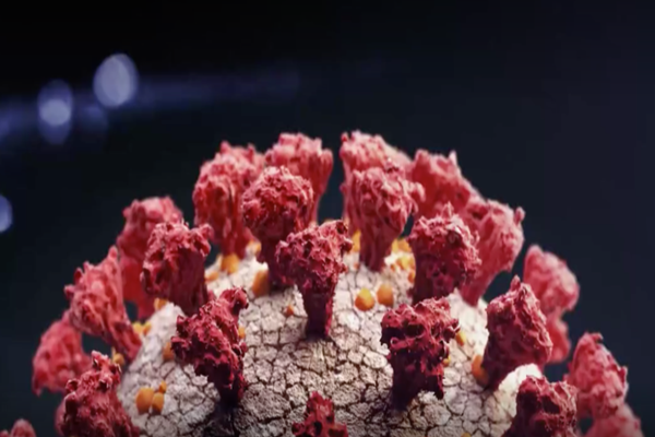 O nouă tulpină Covid-19 a fost descoperită în Marea Britanie