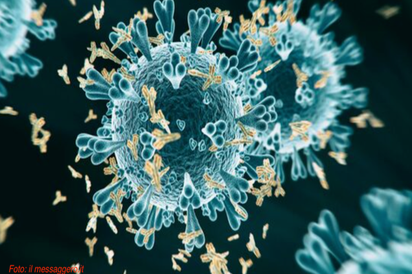 Anticorpii anti-Covid - CE sunt, CUM apar și CÂT timp rămân în organism