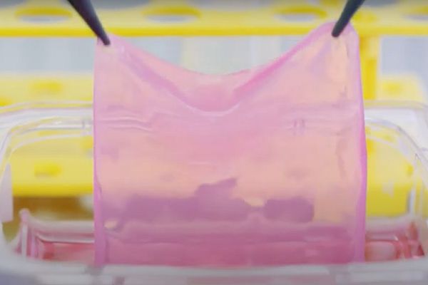 Elveţia a dezvoltat primul aparat care produce piele pentru transplanturi