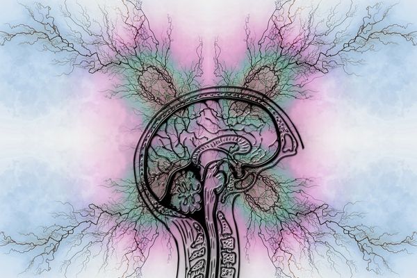 Adulții cu ADHD au risc mai mare de a dezvolta o serie de boli cardiovasculare