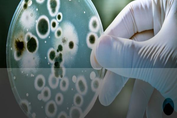 Săptămâna Mondială a Conștientizării Antimicrobiene 18 - 24 noiembrie 2022