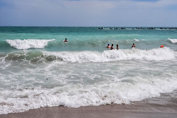 Ministrul Sănătății: ”Nu există niciun pericol de holeră pe litoralul românesc”