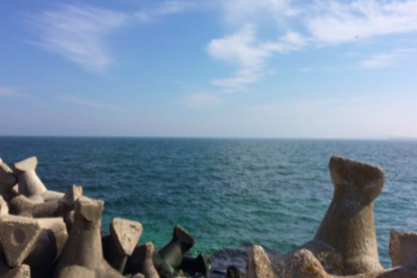 Poluare marină în România: avertismentul ministrului Mediului - Românii care merg la mare în iulie trebuie să știe asta