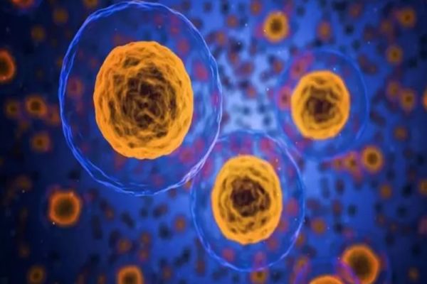 VACCINUL CU CELULE DENDRITICE: O NOUĂ STRATEGIE PROMIȚĂTOARE PENTRU TRATAMENTUL CANCERULUI DE SÂN