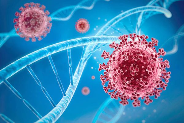 O nouă tulpină COVID, foarte transmisibilă, a devenit deja dominantă în State. Principalele SIMPTOME
