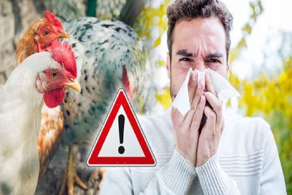 Alertă sanitară: Gripa aviară a ucis un om! Avertismentul medicilor: Vaccinul antigripal ajută!