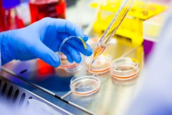 STUDIU: METFORMINUL, UN POSIBIL ALIAT ÎMPOTRIVA LEUCEMIEI 