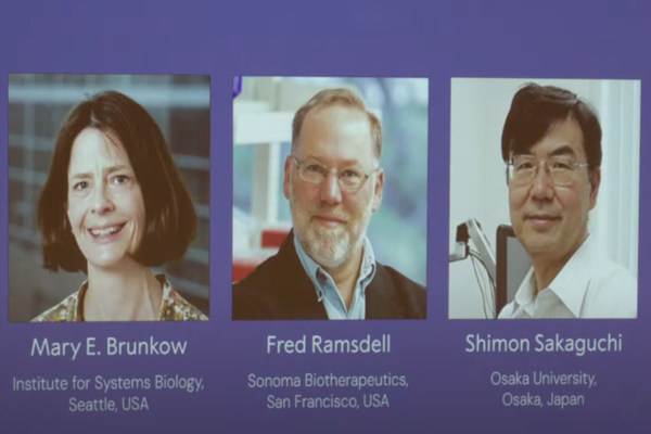 PREMIUL NOBEL PENTRU MEDICINĂ 2025, ACORDAT PENTRU DESCOPERIREA MECANISMELOR CARE CONTROLEAZĂ SISTEMUL IMUNITAR 