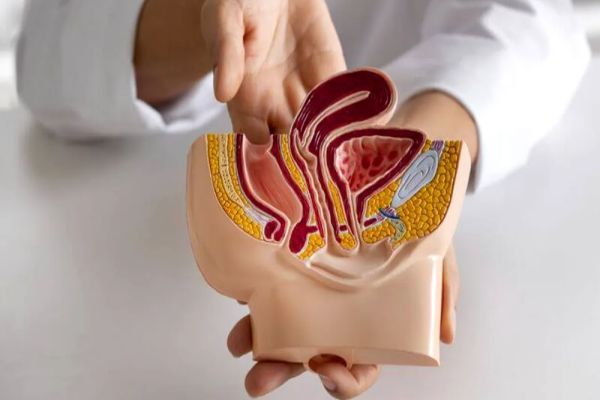 DIAGNOSTIC DE CANCER DE PROSTATĂ ÎNTR-O SINGURĂ ZI, CU AJUTORUL INTELIGENȚEI ARTIFICIALE