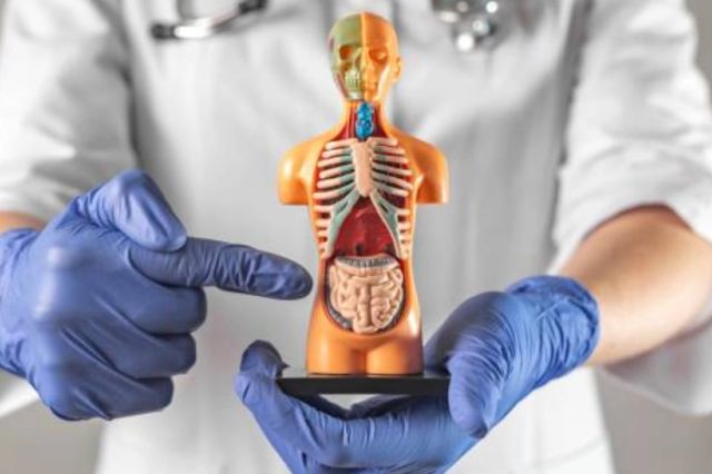 Ce este sindromul de colon iritabil și cum îl recunoști