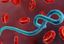 OMS: Peste 900 de cazuri suspecte de Ebola în RD Congo. 101 au fost confirmate