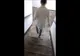 VIDEO Mai multe nereguli descoperite la Spitalul Județean de Urgențe din Turnu Severin
